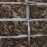 南美大蝦6盒裝40-50規(guī)格