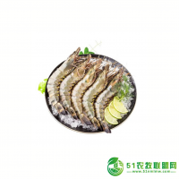 斑節(jié)蝦 黑虎蝦 草蝦專賣