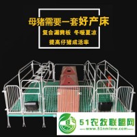雙體母豬產(chǎn)床 復(fù)合母豬分娩床 養(yǎng)豬場(chǎng)設(shè)備