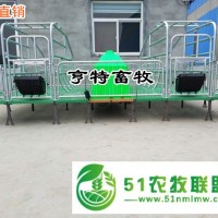 貴州六盤水養(yǎng)豬設(shè)備生產(chǎn)廠家出售雙體復(fù)合產(chǎn)床