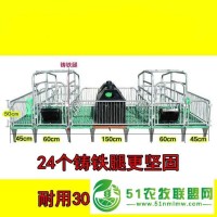 養(yǎng)豬設(shè)備 全復(fù)合產(chǎn)保一體母豬產(chǎn)床 豬用雙體產(chǎn)床
