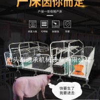 遠(yuǎn)承設(shè)備母豬產(chǎn)床