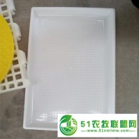 廠家**雞雛開食盤 雞鴨開食盤 小雞采食器