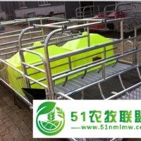 君達(dá)養(yǎng)豬設(shè)備 歐式母豬產(chǎn)床