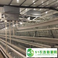 蛋雞籠 河南生產(chǎn)廠家 雞籠 蛋雞籠養(yǎng)設(shè)備