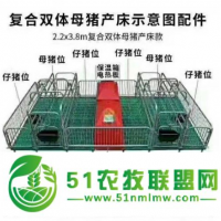 新型母豬產(chǎn)床，復(fù)合母豬產(chǎn)床，豬廠用小豬保育箱，母豬限位欄