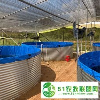 帆布魚(yú)池養(yǎng)魚(yú)帆布池篷布水池養(yǎng)殖池 圓形鐵桶鍍鋅板水池蓄水池