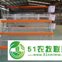 億澤a型階梯式熱鍍鋅蛋雞籠批發(fā)價格