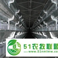 山東省無棣魯興養(yǎng)殖設(shè)備立體式肉雞籠