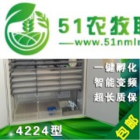 四川孵化機(jī)億順4224枚智能孵化機(jī)