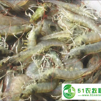 恭喜湖北華沃生態(tài)農(nóng)業(yè)有限公司成功簽約湖南60后的李先生夫婦