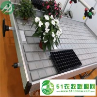 潮汐式灌溉苗床、潮汐苗床的優(yōu)勢(shì)與特點(diǎn)