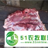 有營養(yǎng)的生態(tài)豬肉
