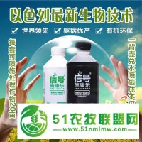 較新*敏蛋白農(nóng)藥，有效預(yù)防棗瘋病、葉枯病、黑腐病