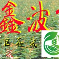 山東泰安櫻花訂購(gòu)電話