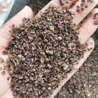 廣西南寧大花金雞菊花卉種子打造花海花種