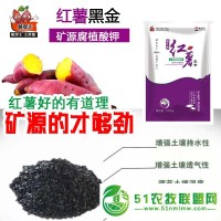 薯幫主地瓜*肥 紅薯黑金 甘薯*肥根施型