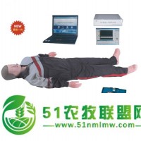 供應(yīng)心肺復(fù)蘇AED除顫模擬人,AED除顫模擬人,心肺復(fù)蘇模型