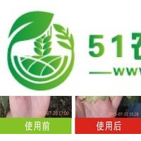 北農(nóng)華安洗_葡萄霜霉病藥_霜霉病防治