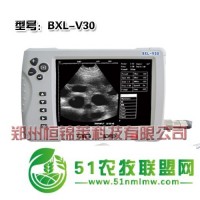 獸用B超機(jī)廠家報(bào)價(jià)