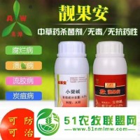 柑橘褐斑病用什么藥好