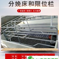 定制肥豬定位欄母豬限位欄養(yǎng)豬設(shè)備限位欄批發(fā)自動化養(yǎng)殖設(shè)備