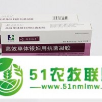 西臣銀克單體銀婦用抗菌凝膠 婦用抗菌凝膠 單體銀