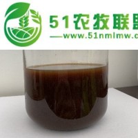 養(yǎng)殖環(huán)境凈化菌除臭菌圈舍凈化菌河道處理菌異味凈化劑