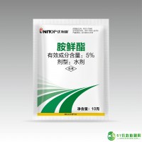 5 胺鮮酯水劑