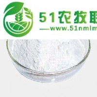 表兒茶素 廠家**供應(yīng)