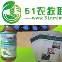 EM菌液EM菌種種植水稻*EM菌液價(jià)格是多少