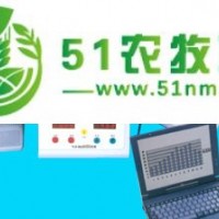 智能熱板儀 小鼠熱板儀 大鼠熱板儀