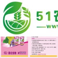 昆侖授粉精