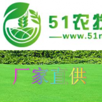 農(nóng)藥原料吡蟲啉****