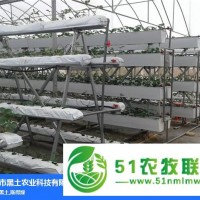 黑土農(nóng)業(yè)(圖)-什么是泥炭土-金華泥炭土