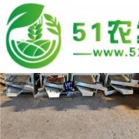 山茶籽剝殼機 全自動油茶果脫殼機 無破損茶籽分離設備