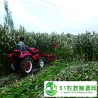 自走式玉米秸稈收獲機莖穗兼收玉米收割機