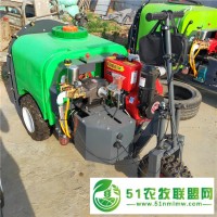 果園風(fēng)送式彌霧機(jī) 高壓風(fēng)送式打藥機(jī)