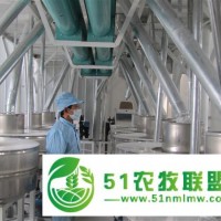 新型雜糧磨粉機(jī)廠家