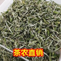 廠家批發(fā)2020年頭采福鼎的白茶 春茶白牡丹王散裝白茶葉花香500g