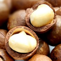 新貨堅果 夏威夷果 廠家直銷 炒貨零食批發(fā) 5公斤/箱