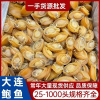 批發(fā)大連鮑魚干 淡干25-1000頭規(guī)格齊全干鮑魚干貨小鮑魚干佛跳墻