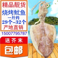 A33蘭北海特產(chǎn)海鮮海捕燒烤淡曬手撕魷魚干貨須仔足片定價半斤