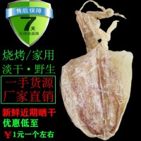5a魷魚干貨廣西北海水產(chǎn)品特產(chǎn)燒烤手撕淡曬尤魷魚須散裝半斤