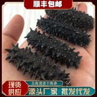 工廠貨源量大價優(yōu) 日本關東紅參干貨批發(fā)500g 關東淡干海參禮盒