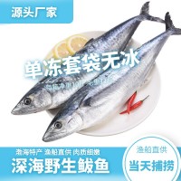 野生鲅魚 燕尾鲅 馬鮫魚 單凍套袋 無冰 11斤/件 凈重10斤