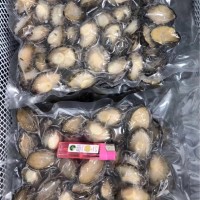活凍凈鮑魚肉餐飲
