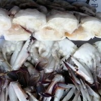 廠家批發(fā)梭子蟹 凍梭子蟹 舟山梭子蟹 自助餐海鮮切蟹