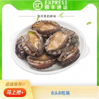 鮮凍凍活凍冷凍鮮凍帶去肚去齒鮑魚活凍鮑魚10頭/8頭鮑魚海鮮酒店