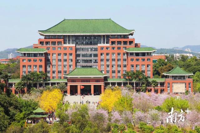 華南農(nóng)業(yè)大學(xué)行政樓花開。華南農(nóng)業(yè)大學(xué)供圖